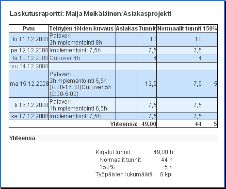 Esimerkkiraportti