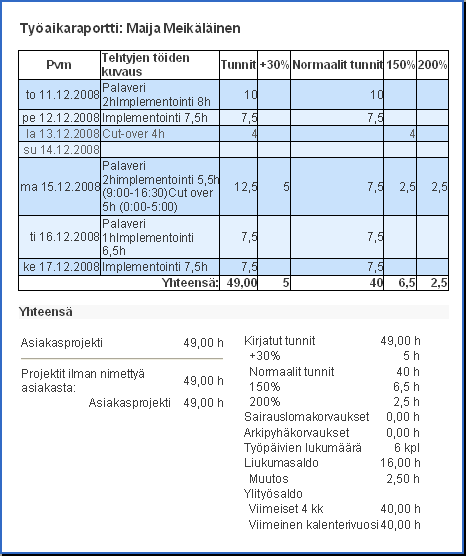 Esimerkkiraportti