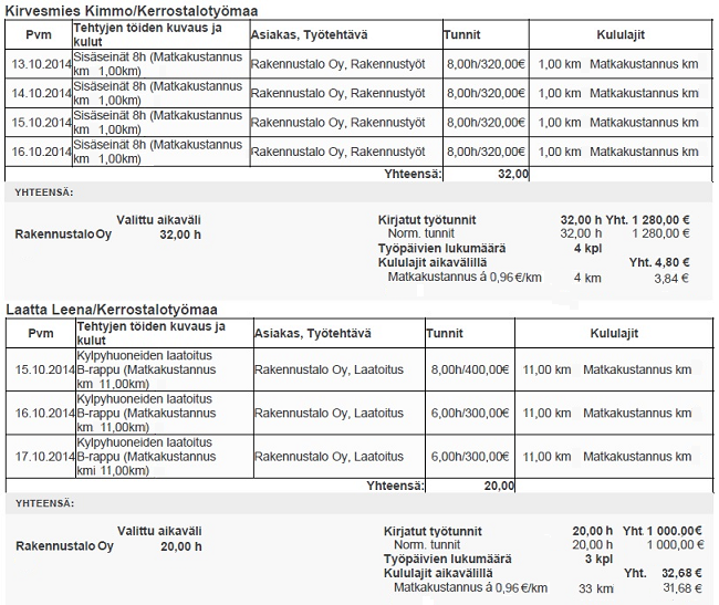 Esimerkkiraportti