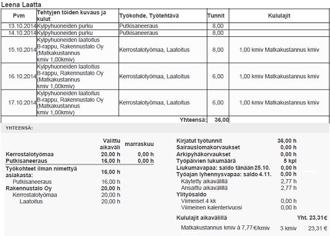 Esimerkkiraportti