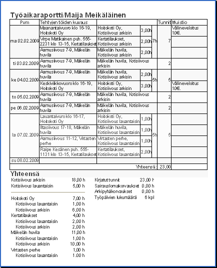 Esimerkkiraportti