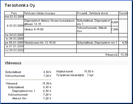 Esimerkkiraportti