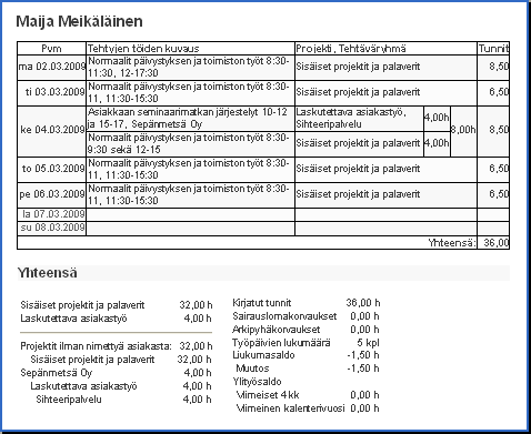 Esimerkkiraportti